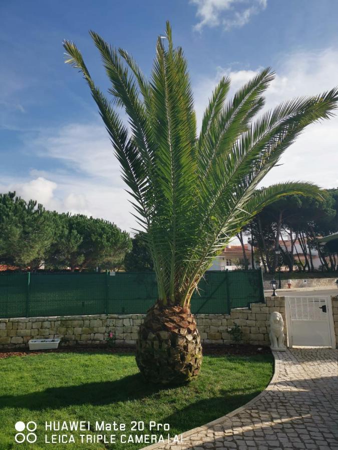 Villa Lala Amoreira  Buitenkant foto